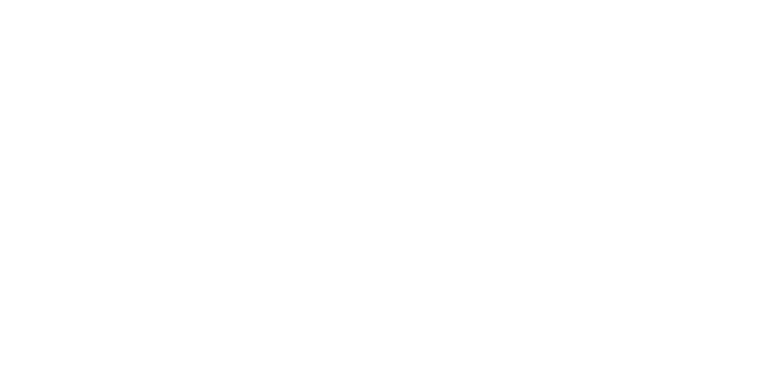 Hevie Brand Logo