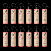 L3VEL3 2 Phase Detangler Spray, wholesale case of 12