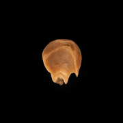Brown clay on a black background