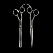Rolda Silver 8 Inch Shear Set featuring professional cutting shear and thinning shear made from stainless steel