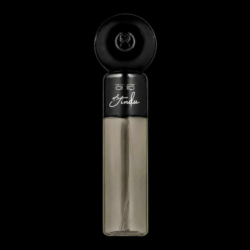 StyleCraft Studio Mini Nano Mister professional hair mister