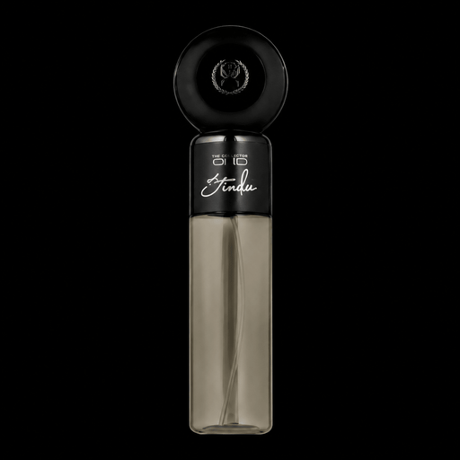 StyleCraft Studio Mini Nano Mister professional hair mister